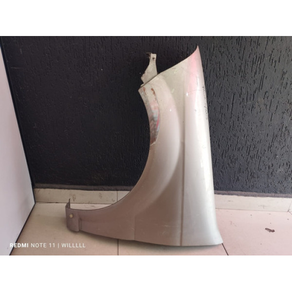 Paralama Esquerdo Palio  Siena Cara Rato